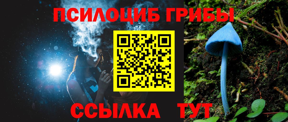 Псилоцибиновые грибы GOLDEN TEACHER Усолье-Сибирское