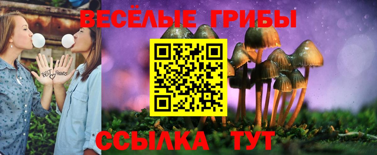 Усолье-Сибирское  Галлюциногенные грибы Magic Shrooms  Галлюциногенные грибы GOLDEN TEACHER  Вход с VPN 